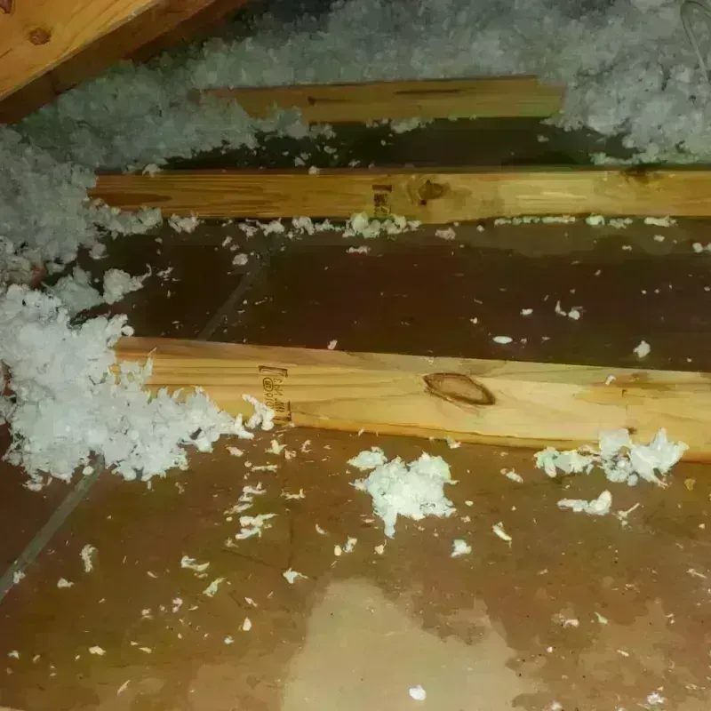 Attic Water Damage in Dunes City, OR