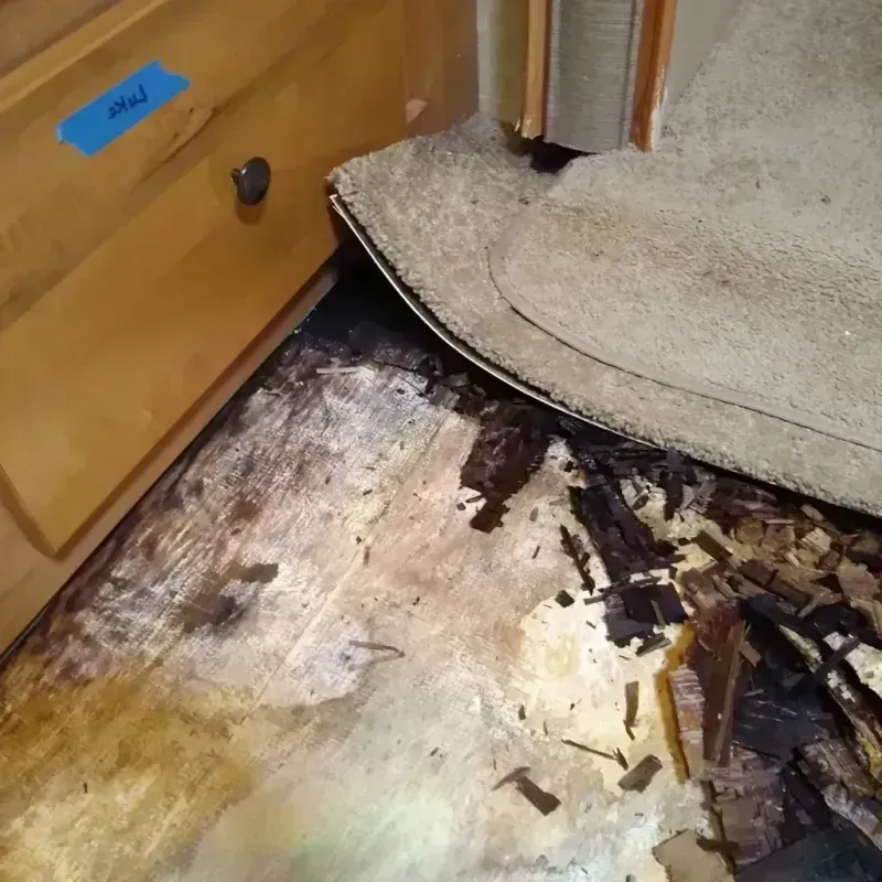 Best Wood Floor Water Damage Service in Dunes City, OR